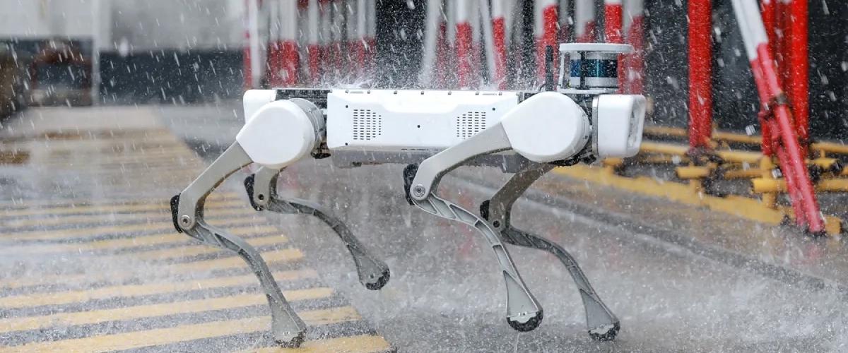 Хitoyda insonlar o‘rniga robot-itlar va dronlar xizmat ko‘rsatadigan birinchi shamol parki ishga tushdi